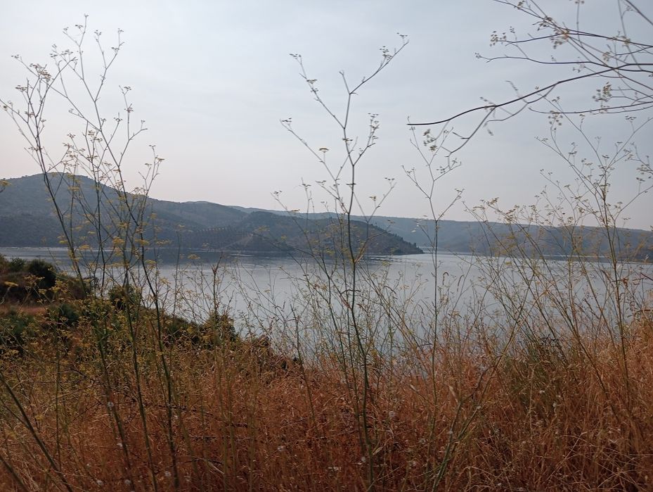 Limpezas extremas / acumulação / depressão