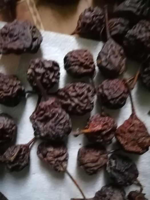 груша лимонка   еко