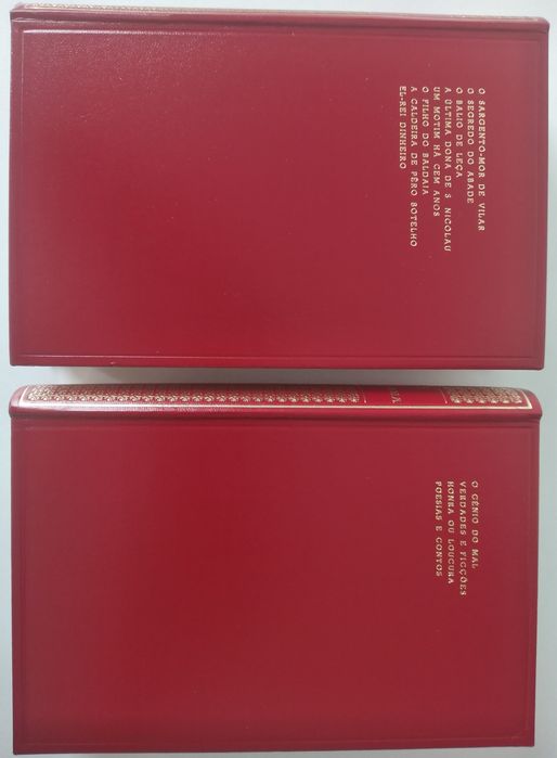 Arnaldo Gama - obra completa - 2 livros encadernados em pele 50€