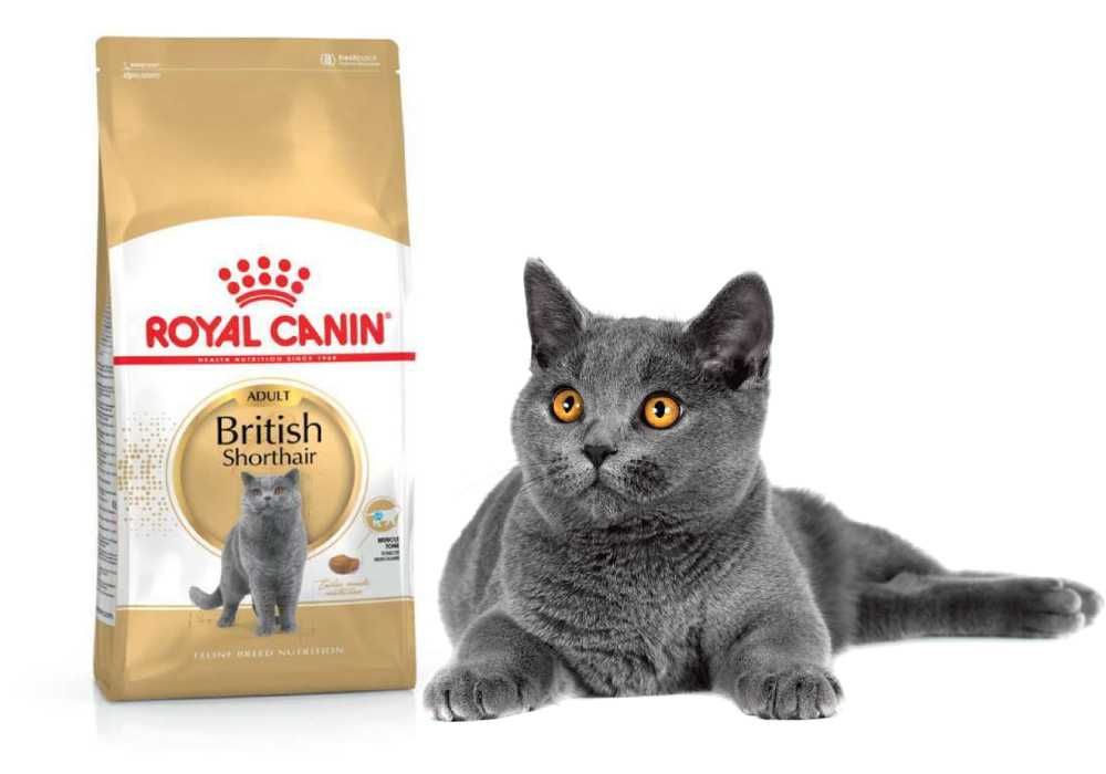 Сухой корм Royal Canin British для кошек 10кг! Роял Бритиш!