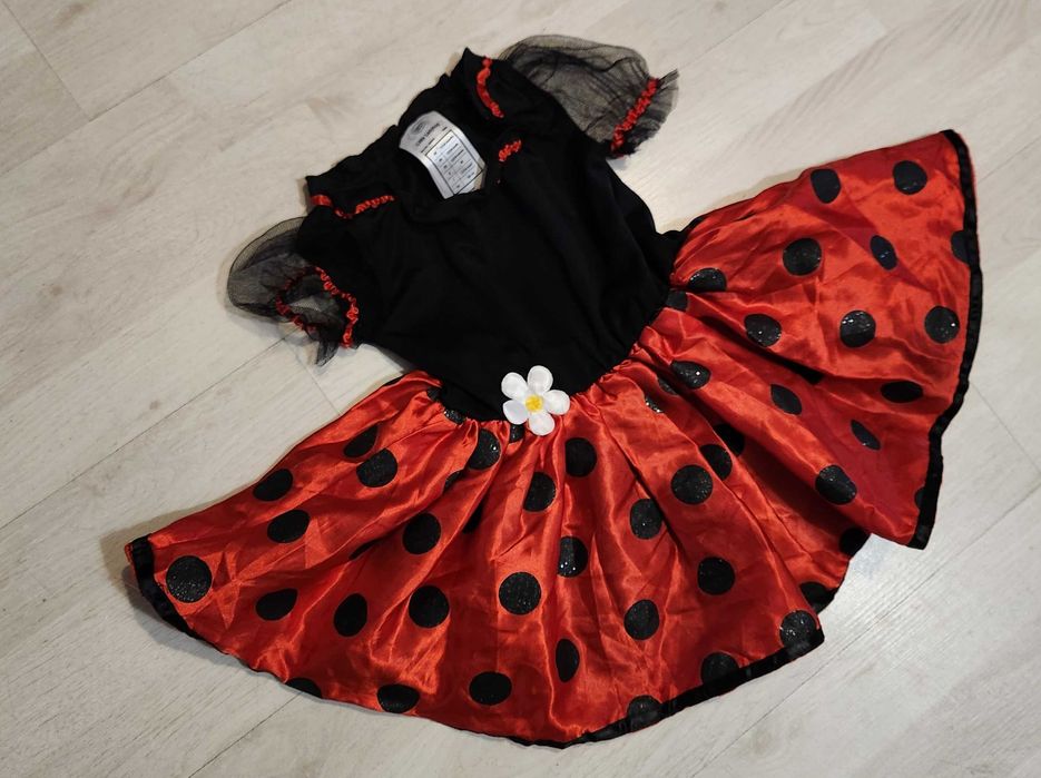 strój biedronki sukienka grochy biedronka 908