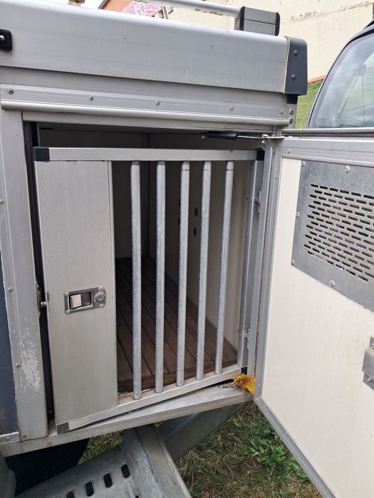 Przyczepka transportu 3 psów