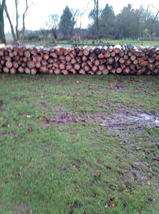 Sprzedam drewno opałowe