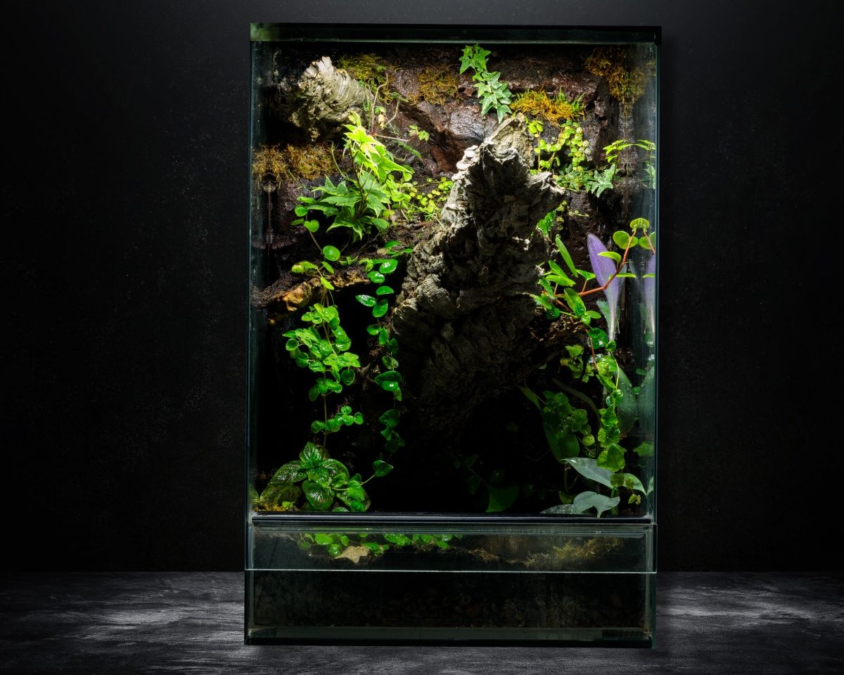 Terrarium paludarium 40x40x60