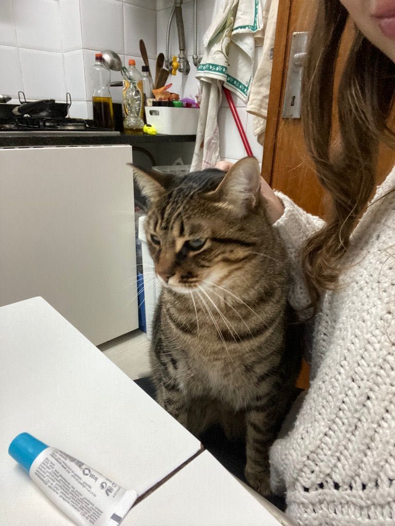 Pet Sitting Lisboa e Arredores
