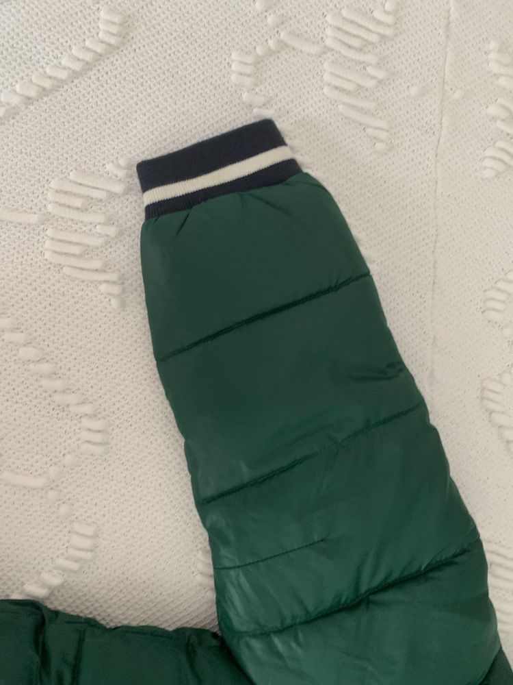 kispo verde menino