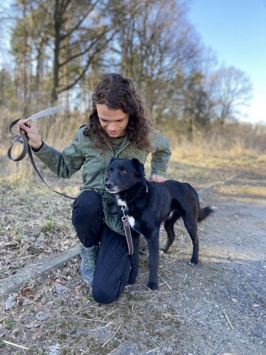 Piesek w typie labradora szuka domu