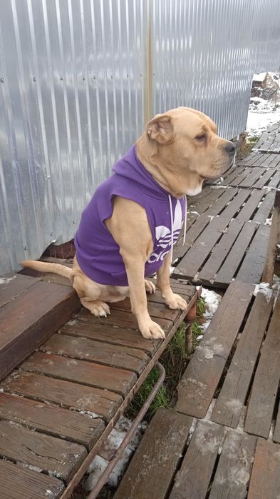 Ка Де Бо Кабель для вязки.