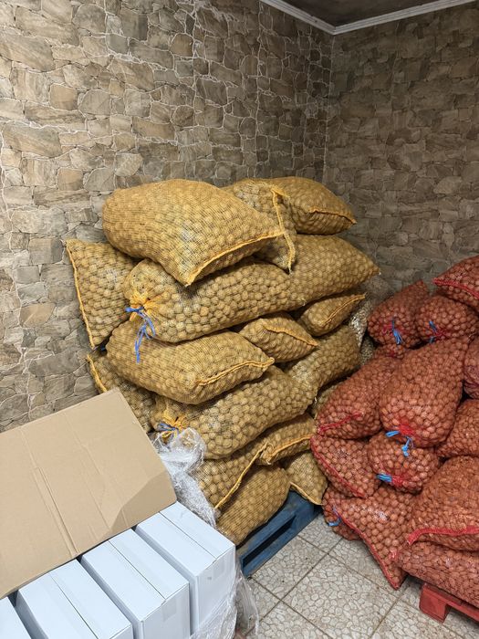 Nozes deste ano e do ano passado