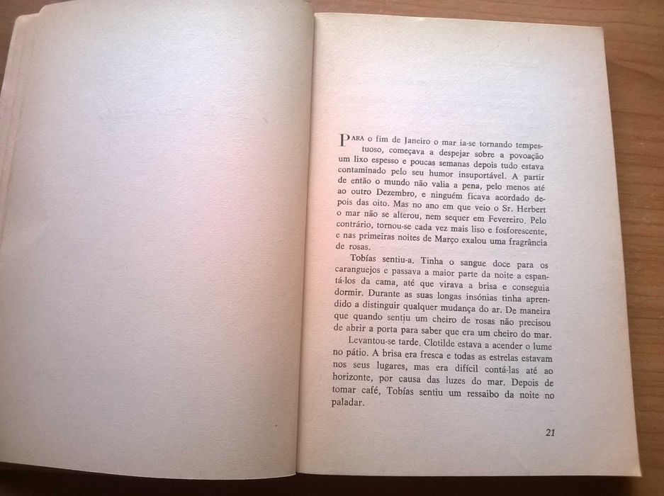A Incrível e Triste História da Cândida Eréndira e da s/ Avó Desalmada