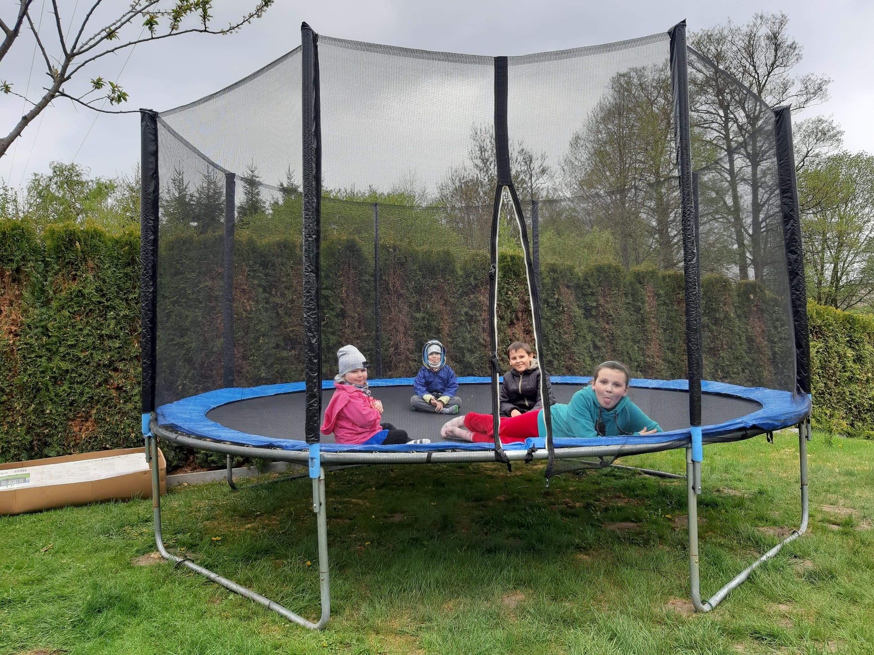 Trampolina trampolina