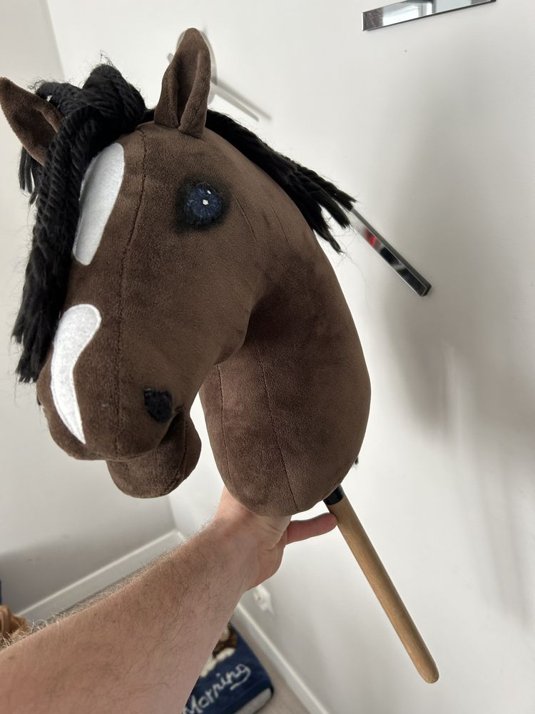 Koń hobbyhorse