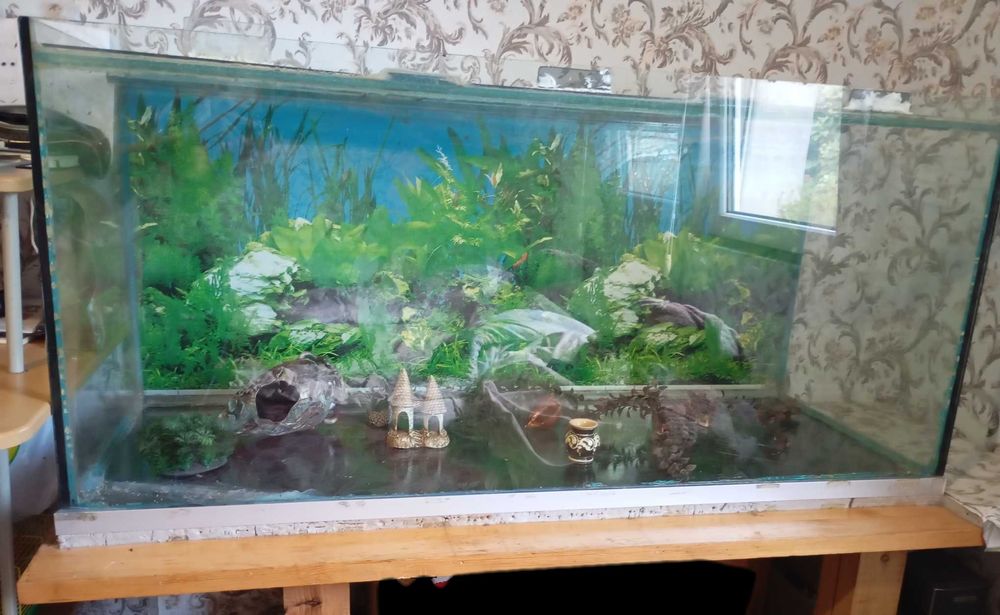Акваріум б/у з тумбою 500літрів