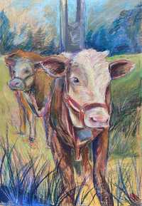 Obraz 50cm x 70cm krowy