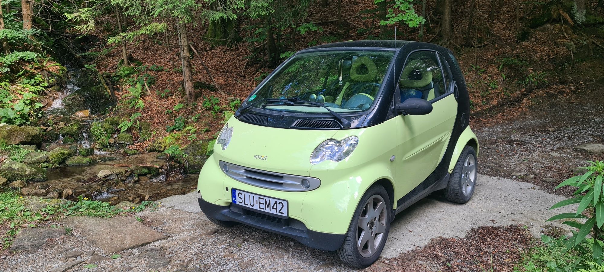 SMART FORTWO 450 0.6 benzyna 2002