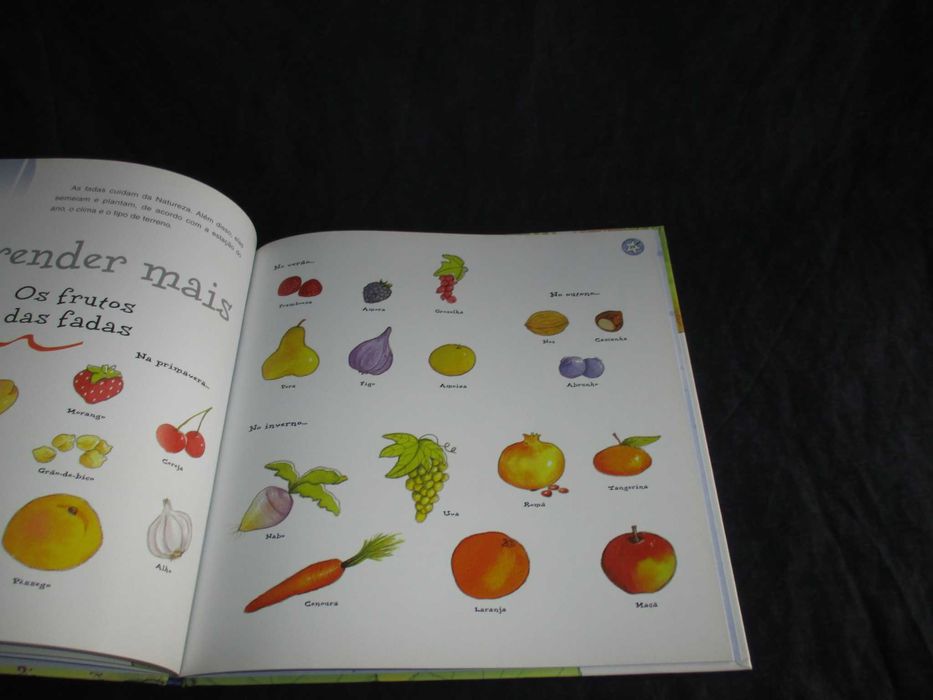 Livro As Fadas falam-nos de solidariedade Aleix Cabrera