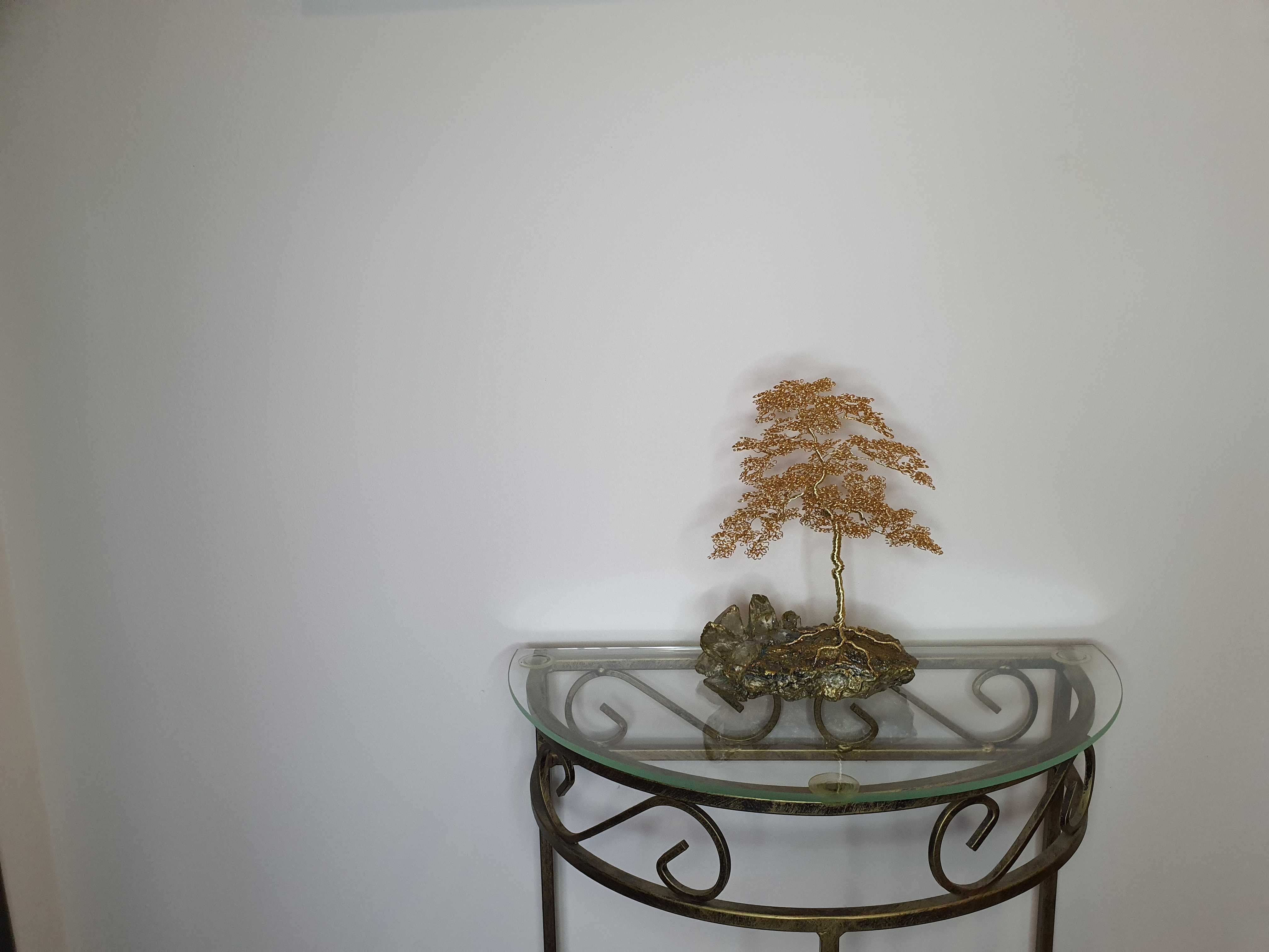 Drzewko szczęścia, bonsai
