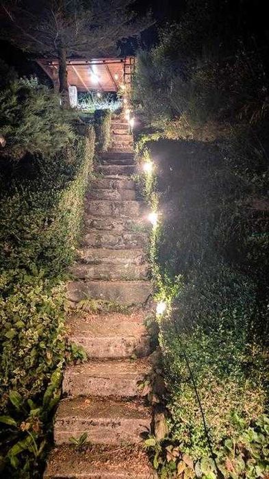 Willa Wielka Puszcza – Luksusowy Wypoczynek w Sercu Natury! Quady