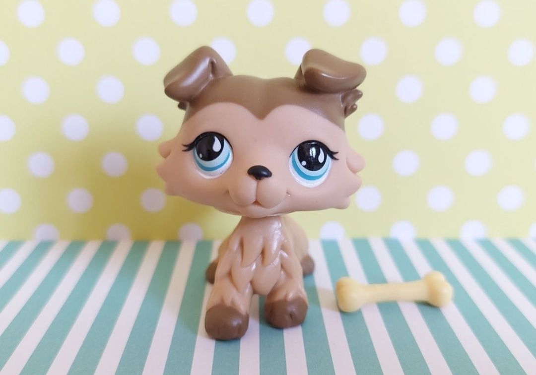 Littlest Pet Shop LPS unikatowy pies Collie #893 pop