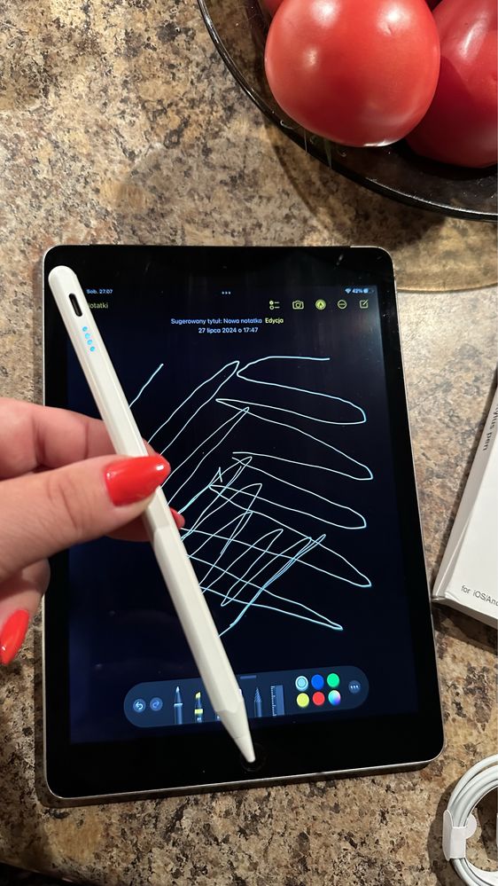 Tablet iPad Apple Retina - Touch ID - PROCREATE