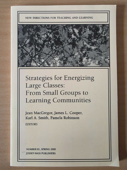 "Strategies for Energizing Large Classes"