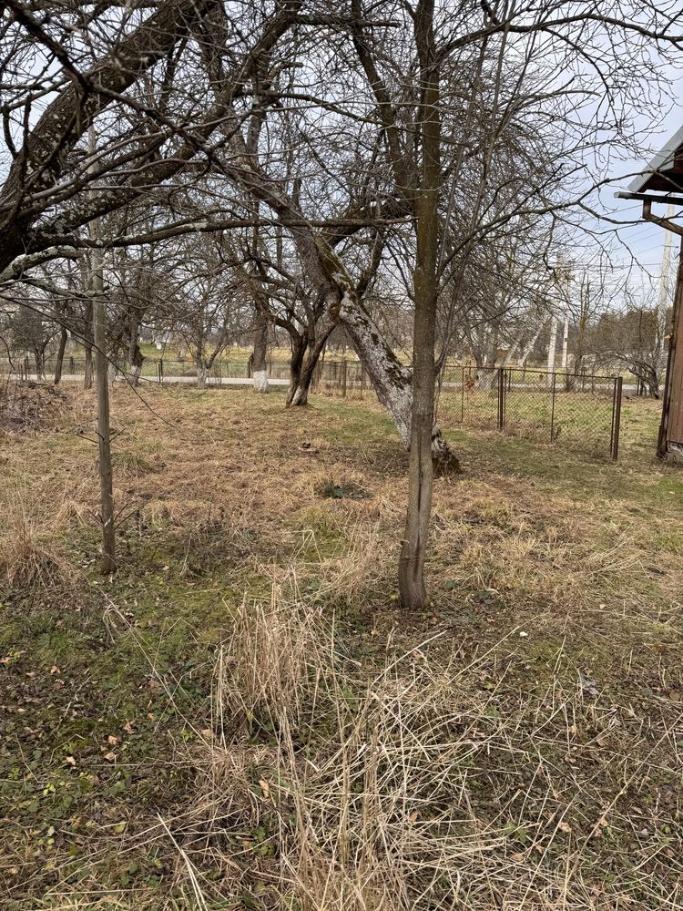 Житловий будинок з ділянкою.