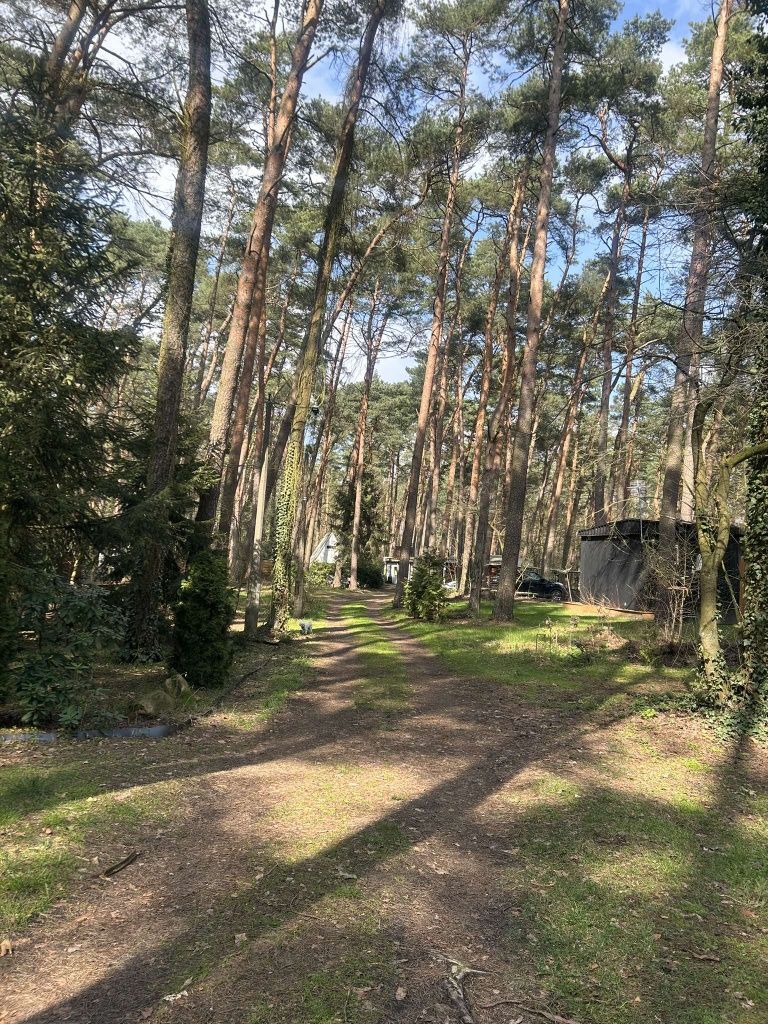 Domek letniskowy w lesie nad jeziorem budziszewskim