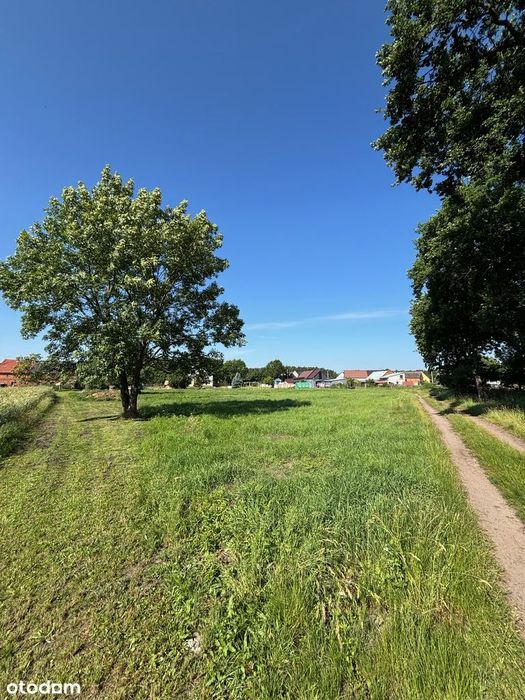 Tarnowa Łąka, gm. Rydzyna - POD LASEM Duża działka budowlana 2.045 m2