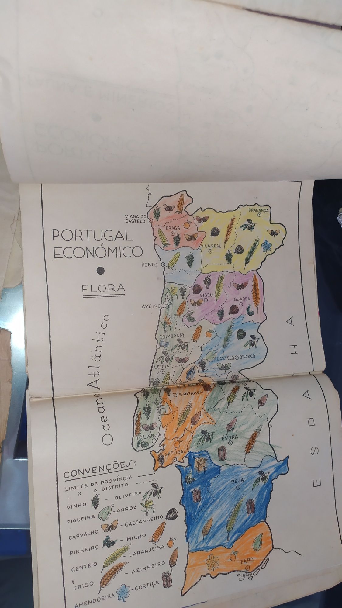 Conjunto antigo de manuais e mapas de geografia com mais de 70 anos