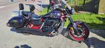 Kawasaki mean streak 1600