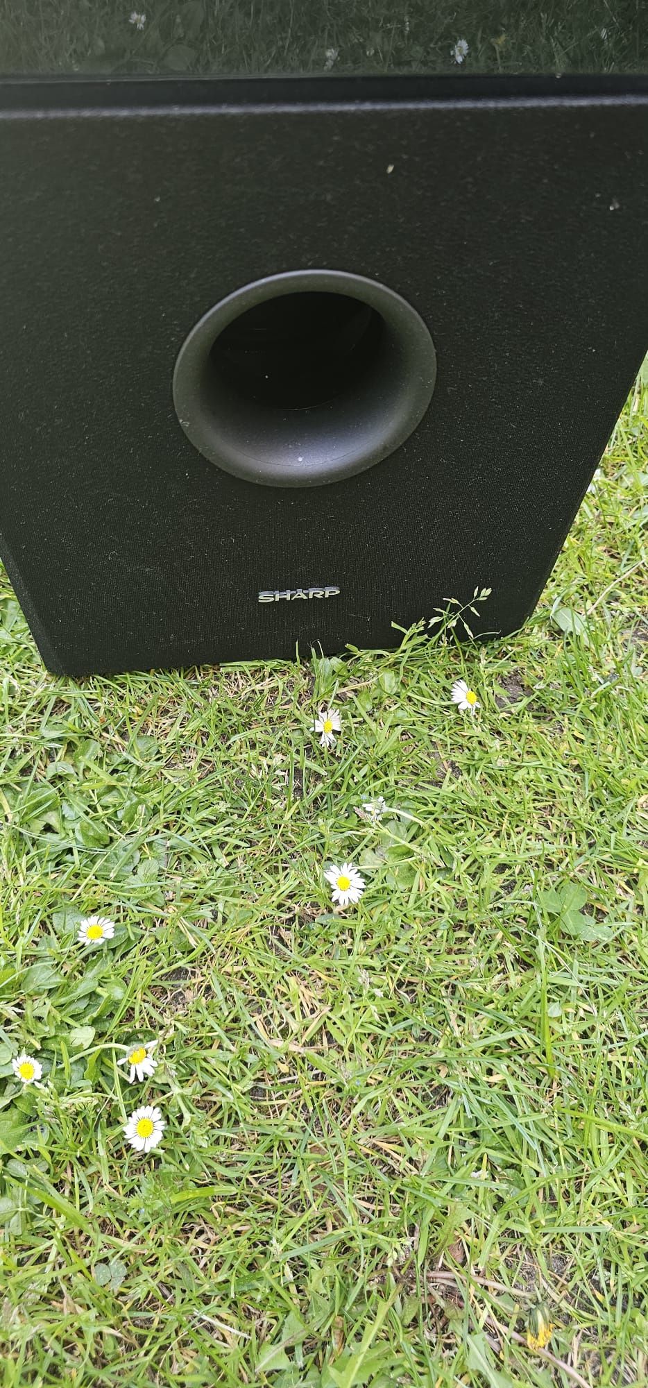 Subwoofer Sharp SW