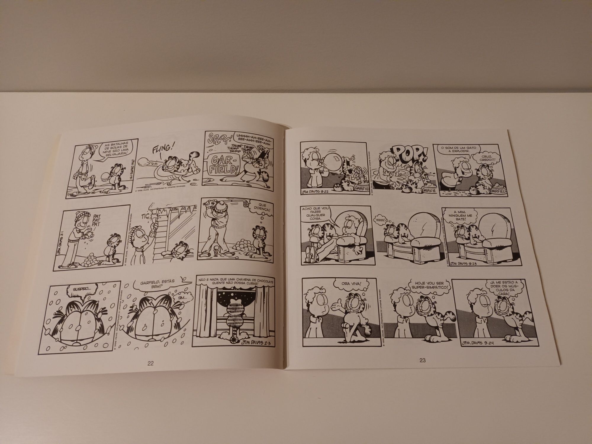 Livro de banda desenhada Garfield Viva a Amizade