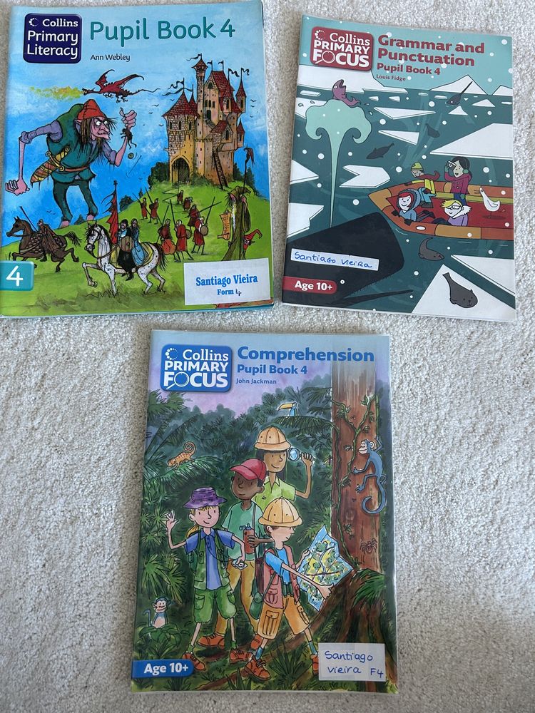 Collins primary focus / literacy f4