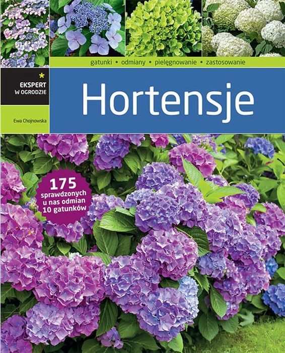 Hortensje Multico