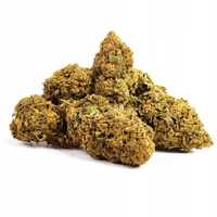 500G Susz CBD Blueberry Haze 0,20% HURT Producent FV Susz konopny