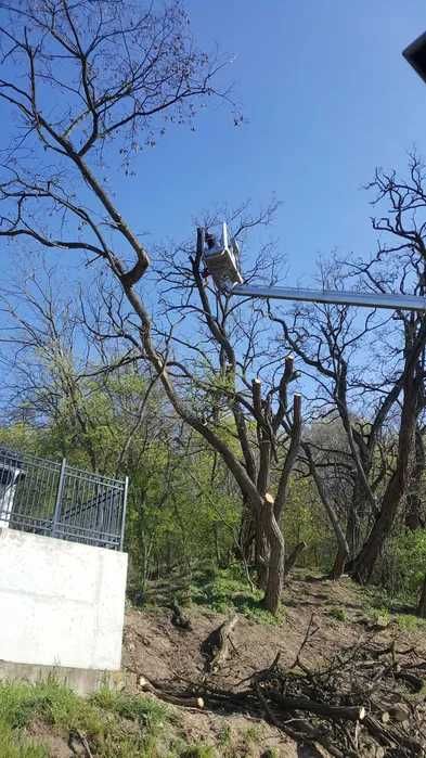 Podnośnik koszowy na gąsienicach, wynajem podnośnika, alpiniści
