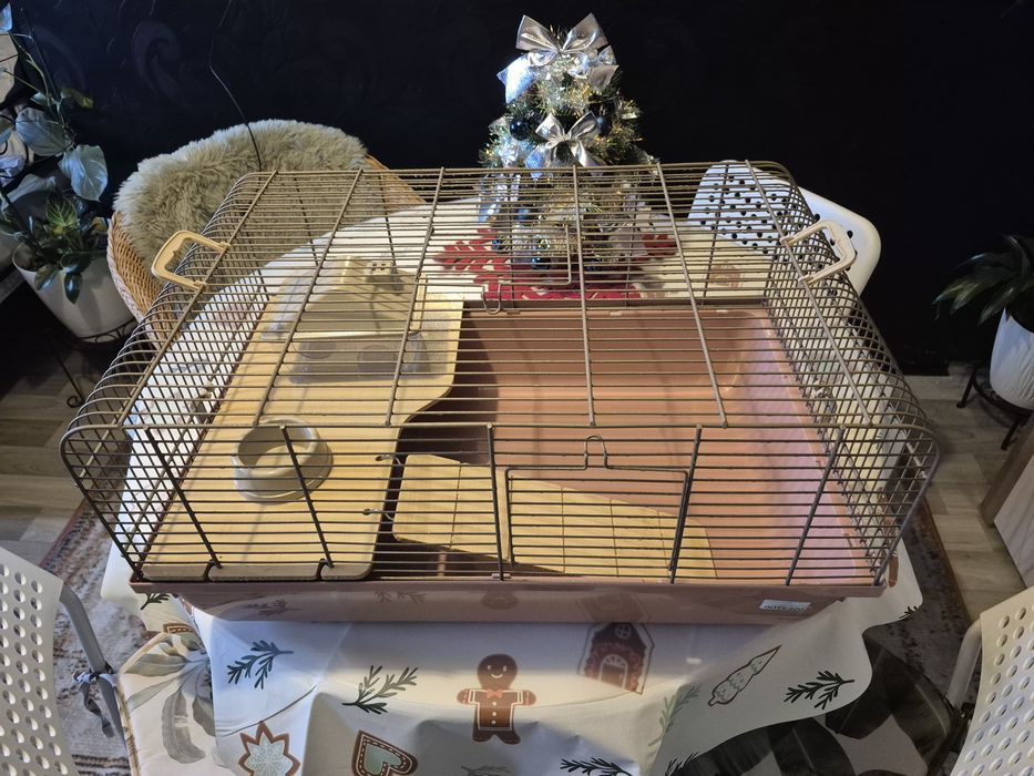 Klatka Rex różowo pastelowa