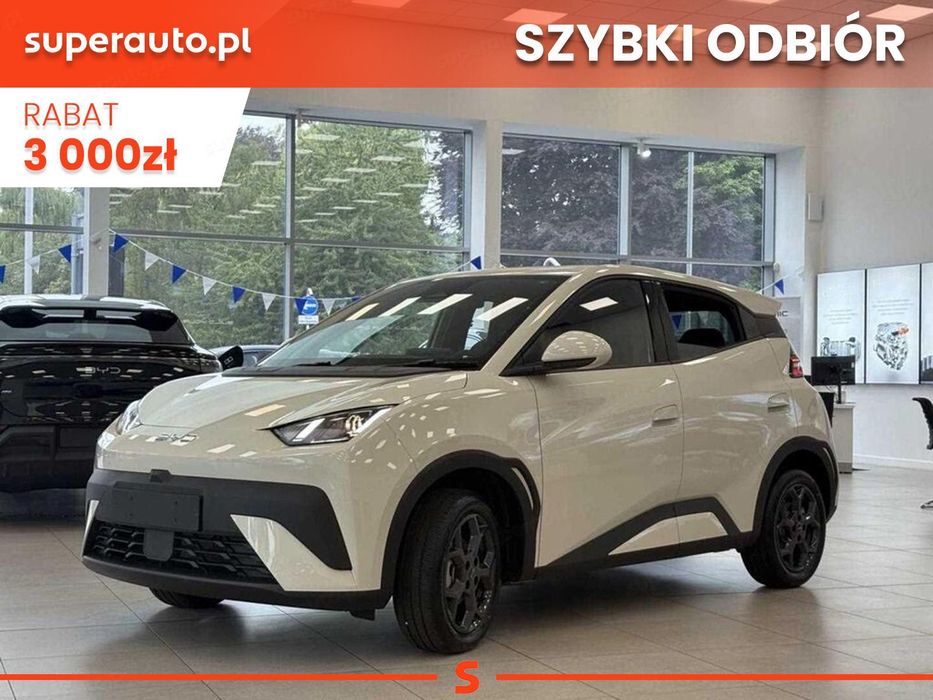 BYD Dolphin Surf Boost (88 KM)