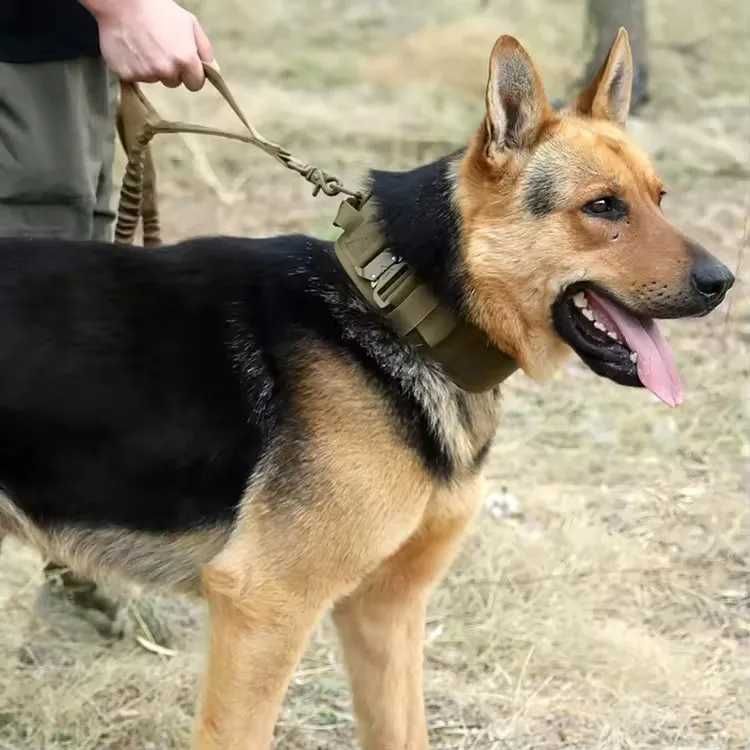 Універсальний! Нашийник тактичний для собак з ручкою на застібках
