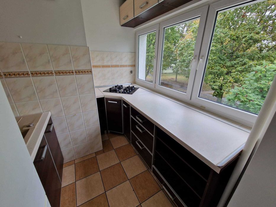 Traktorowa 51, Teofilów, kawalerka pet friendly