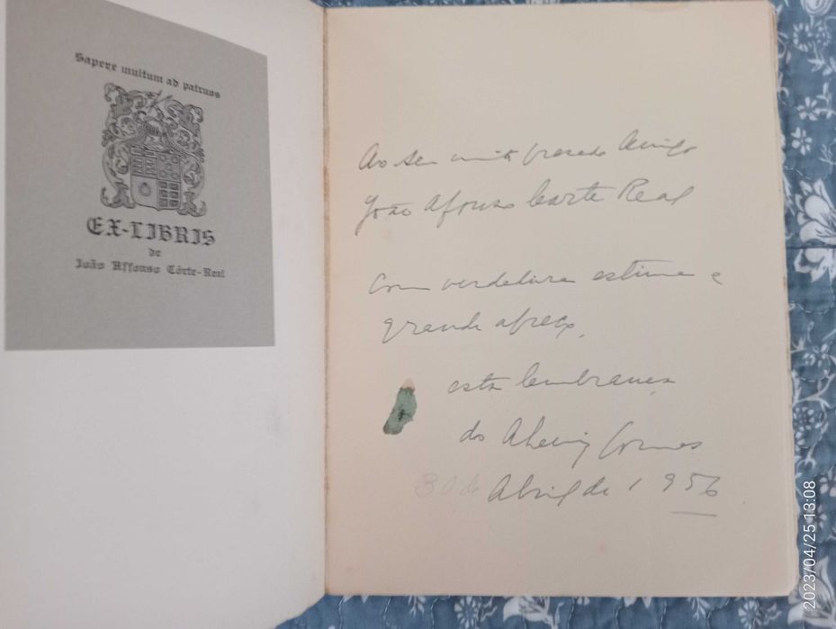 Viver em beleza na Terra e no Céu