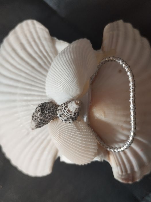 Porta-alianças em concha