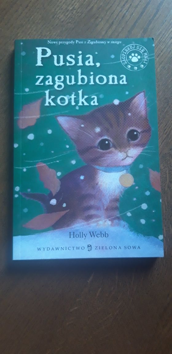 Pusia, zagubiona kotka