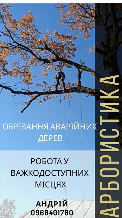 Обрізання,зрізання,зрізка, аварійних,складних дерев Радехів.