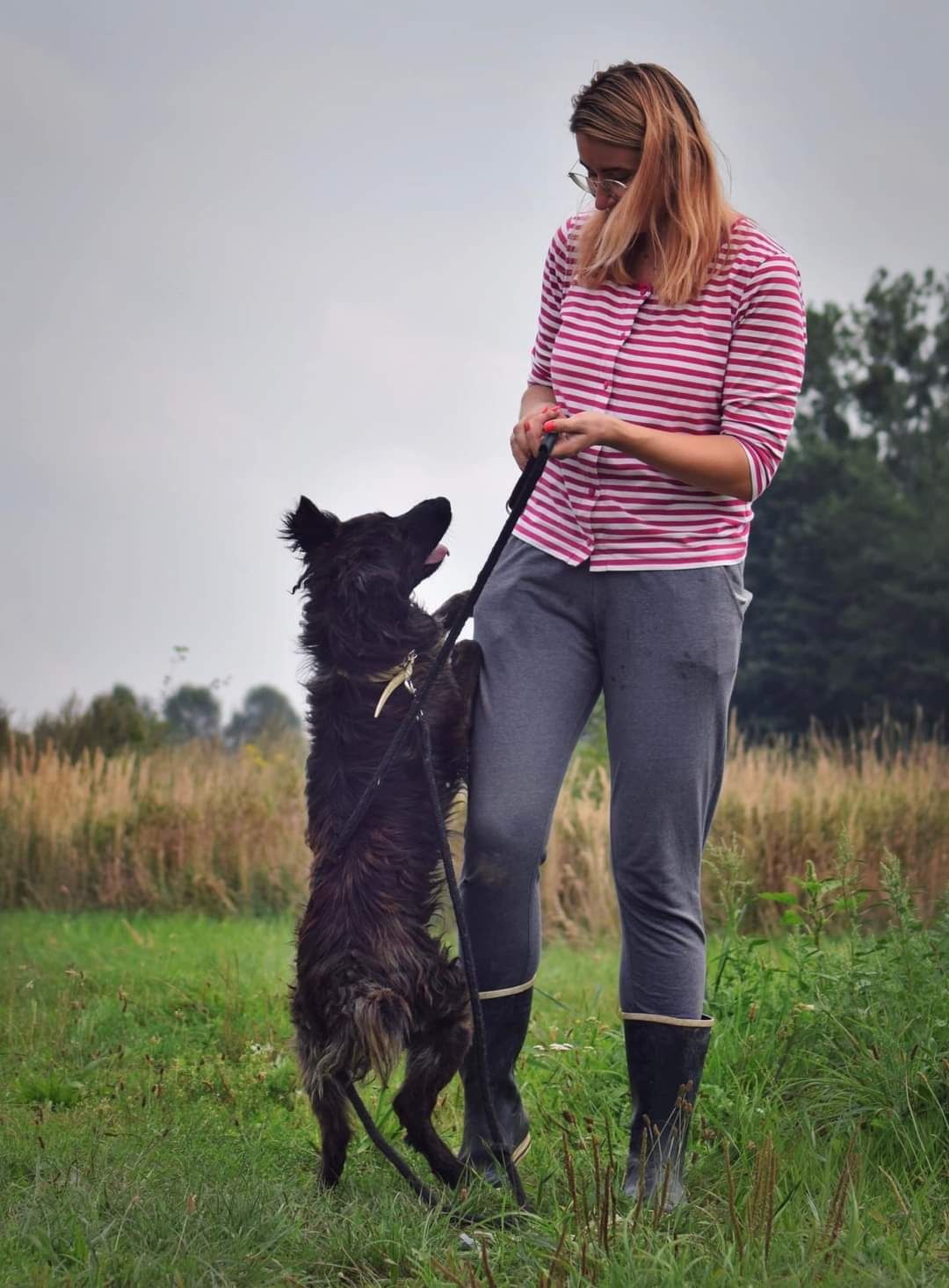 Uroczy pies w typie mudi szuka domu - słodki Brownie do adopcji