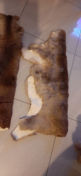 Skóry ozdobne z sarny