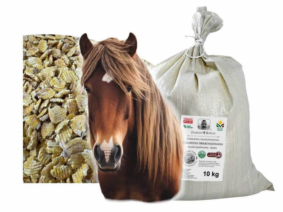 Kukurydza Mikronizowana Płatki 10 KG Musli dla Koni bez Glifosatu