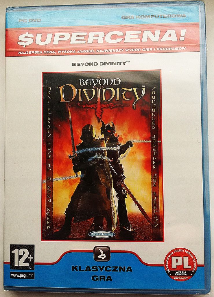 beyond divinity pc