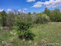 Продаж ділянки 9 сот. поруч з лісом, Барашівський масив