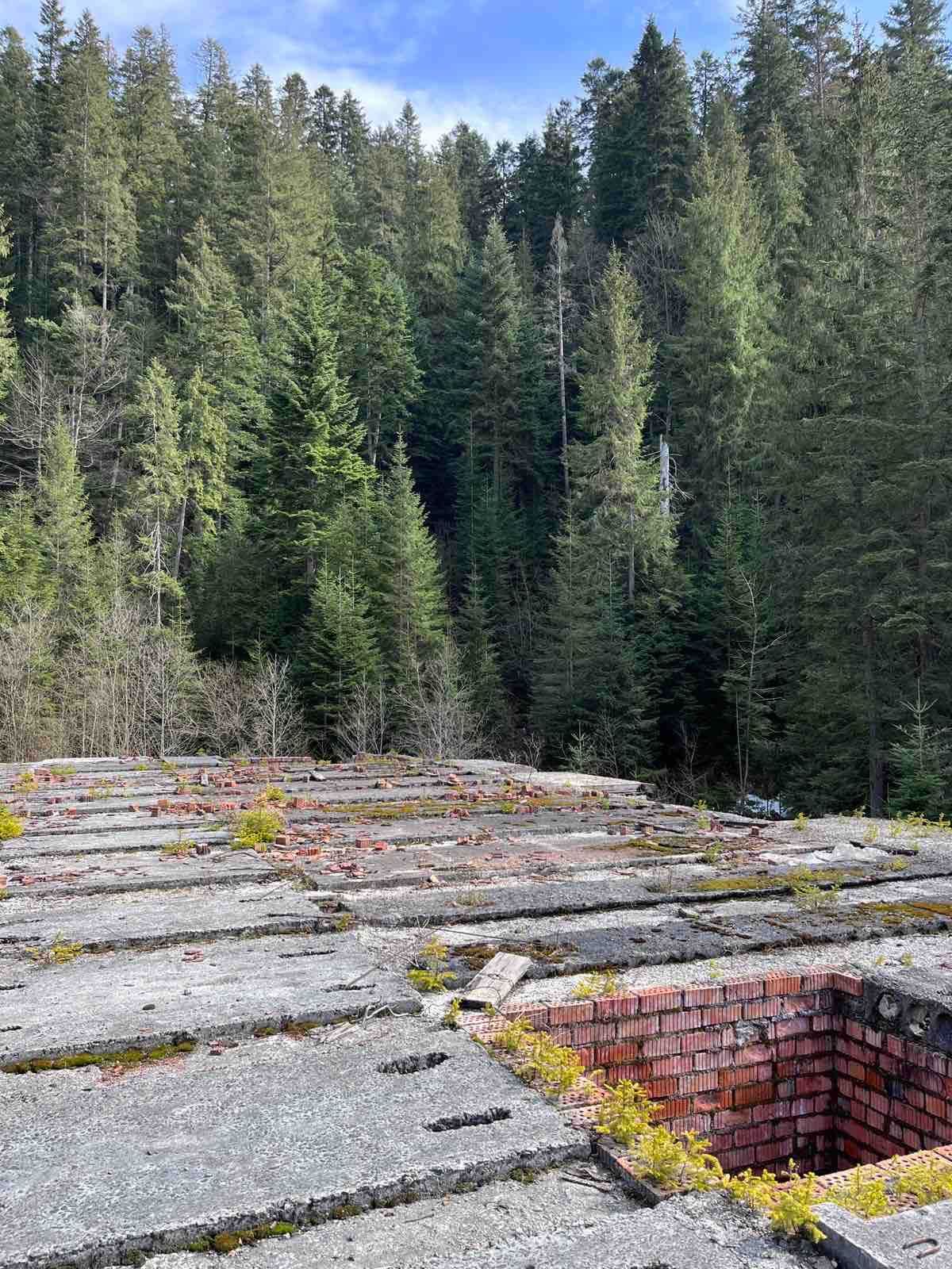 Земельна ділянка с.Поляниця